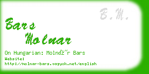 bars molnar business card